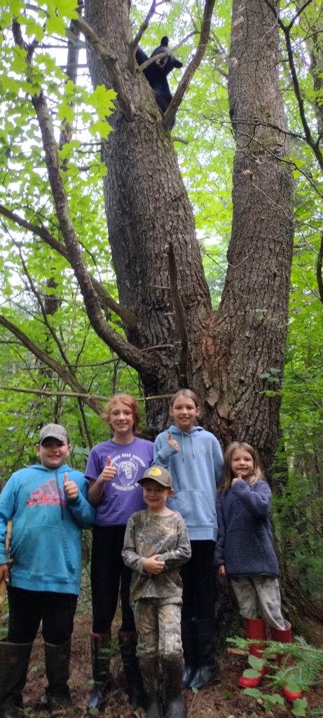 December 2024 | Cody Akey | Youth Approved | This young bear looks over these Youth hunters. The future of our sport all in one photo!